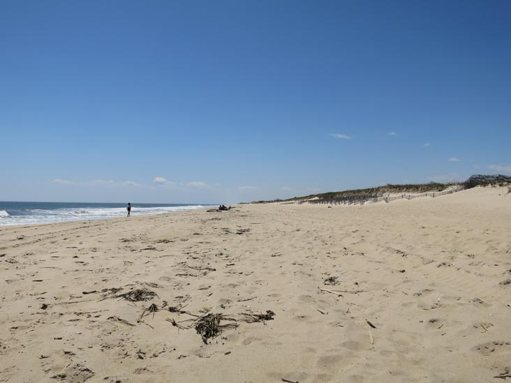 Two Mile Hollow Beach, East Hampton, New York, May 19, 2014