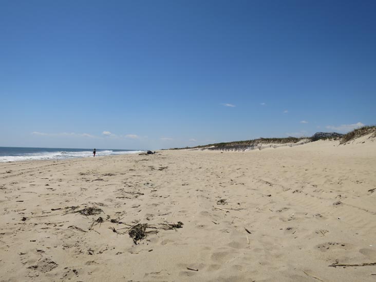 Two Mile Hollow Beach, East Hampton, New York, May 19, 2014