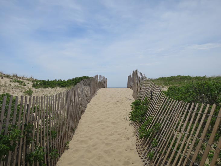 Hither Hills State Park, Montauk, New York, May 21, 2014