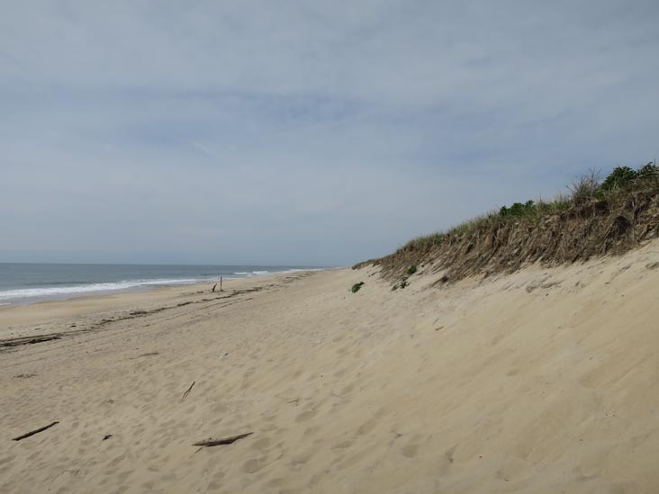 Hither Hills State Park, Montauk, New York, May 21, 2014