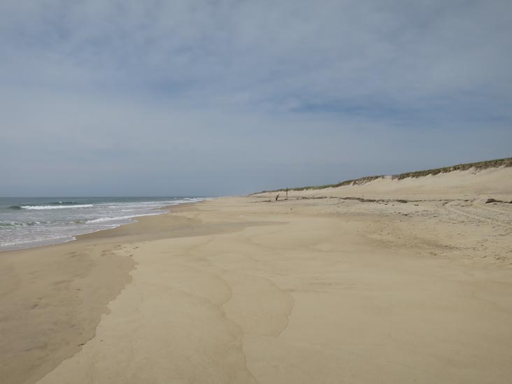 Hither Hills State Park, Montauk, New York, May 21, 2014
