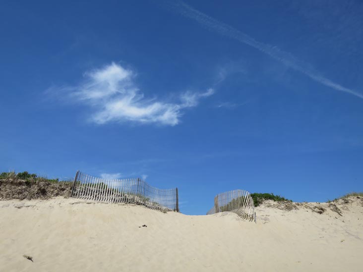 Hither Hills State Park, Montauk, New York, May 21, 2014