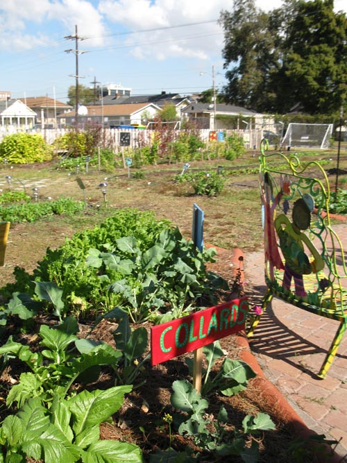 Edible Schoolyard, Samuel J. Green Charter School, 2319 Valence Street, New Orleans, Louisiana