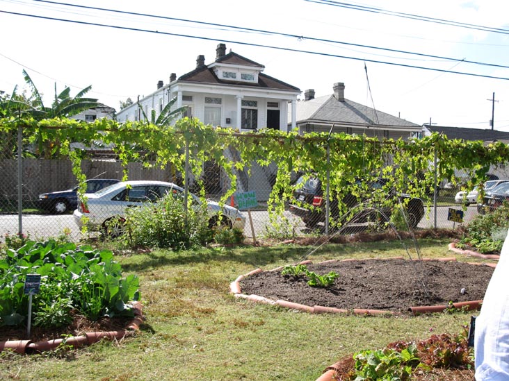 Edible Schoolyard, Samuel J. Green Charter School, 2319 Valence Street, New Orleans, Louisiana