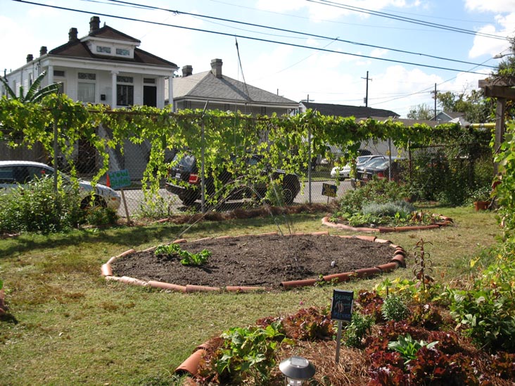 Edible Schoolyard, Samuel J. Green Charter School, 2319 Valence Street, New Orleans, Louisiana