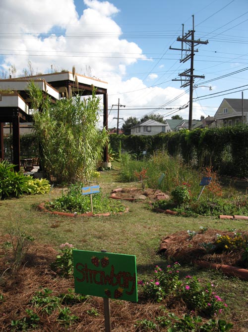 Edible Schoolyard, Samuel J. Green Charter School, 2319 Valence Street, New Orleans, Louisiana