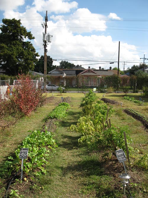 Edible Schoolyard, Samuel J. Green Charter School, 2319 Valence Street, New Orleans, Louisiana