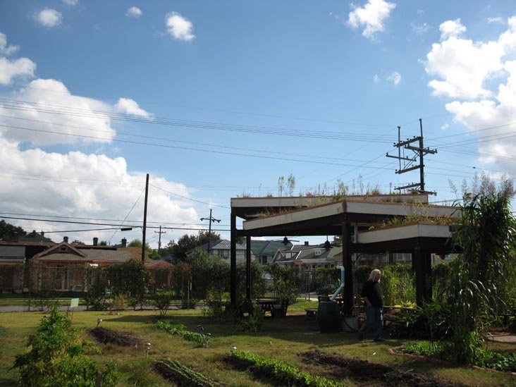 Edible Schoolyard, Samuel J. Green Charter School, 2319 Valence Street, New Orleans, Louisiana