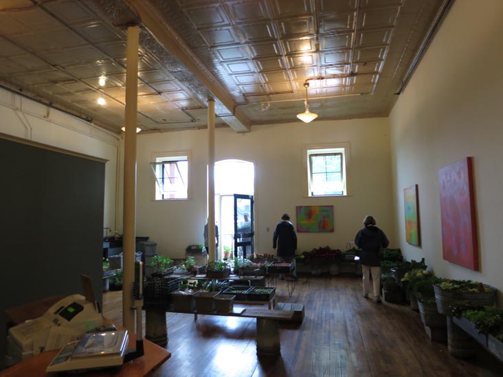 Chase's Daily, 96 Main Street, Belfast, Maine, July 2, 2013