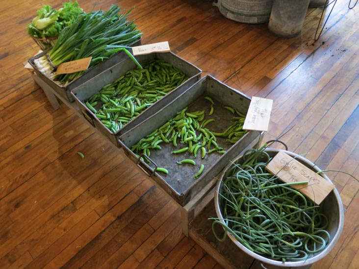 Chase's Daily, 96 Main Street, Belfast, Maine, July 2, 2013