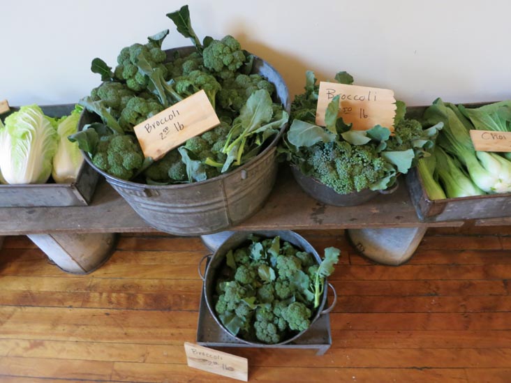 Chase's Daily, 96 Main Street, Belfast, Maine, July 2, 2013