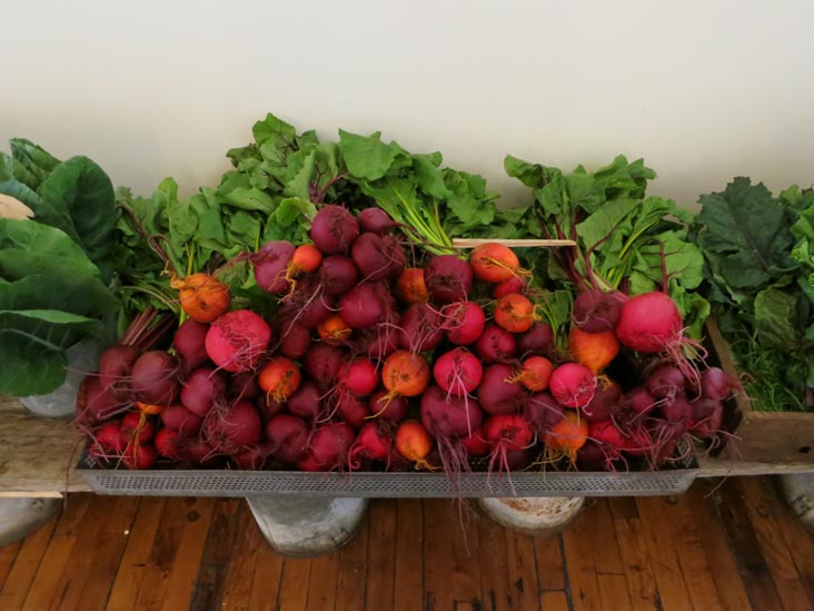 Chase's Daily, 96 Main Street, Belfast, Maine, July 2, 2013