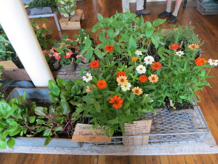 Chase's Daily, 96 Main Street, Belfast, Maine, July 2, 2013