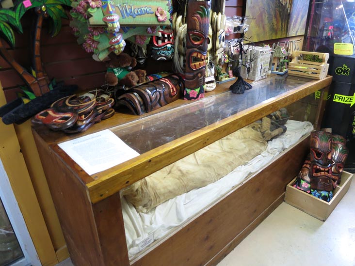 The Forgotten Mummy, Perry's Nut House, 45 Searsport Avenue, Belfast, Maine, July 2, 2013