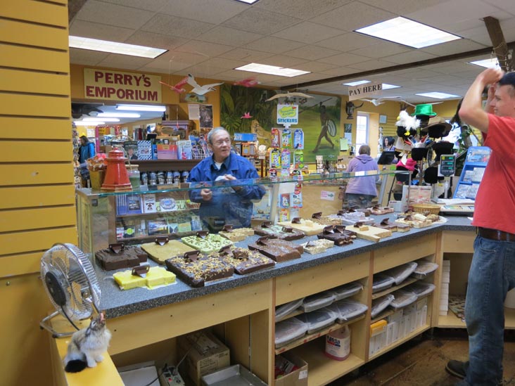 Perry's Nut House, 45 Searsport Avenue, Belfast, Maine