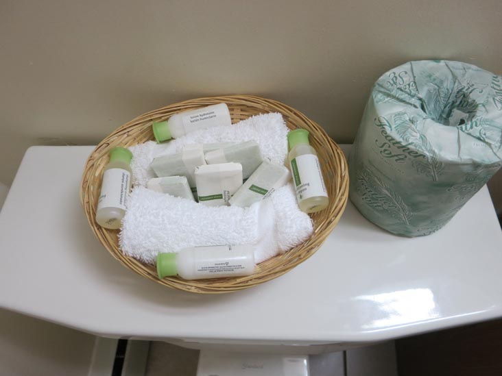 Room 43, Traveler's Inn, 130 Pleasant Street, Brunswick, Maine, July 5, 2013