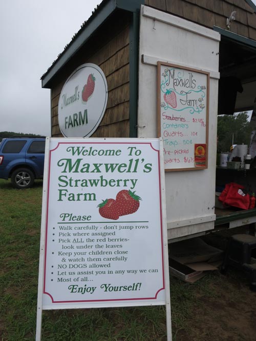 Maxwell's Farm, Bowery Beach Road, Cape Elizabeth, Maine, July 1, 2013