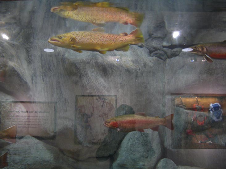 Fish Tank, L.L. Bean Flagship Store, 95 Main Street, Freeport, Maine