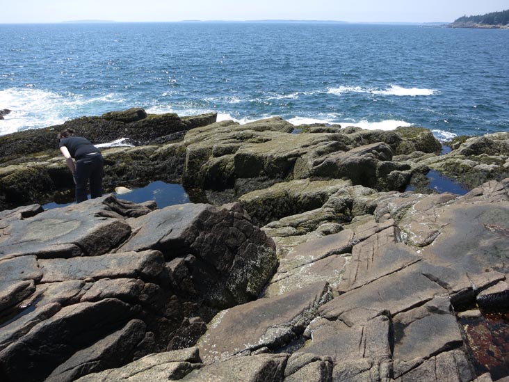 Otter Cove Near Fabbri Picnic Area, Acadia National Park, Mount Desert Island, Maine, July 3, 2013