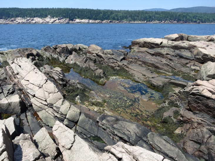 Otter Cove Near Fabbri Picnic Area, Acadia National Park, Mount Desert Island, Maine, July 3, 2013