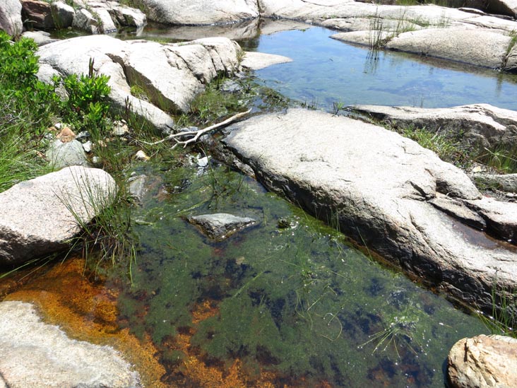 Otter Cove Near Fabbri Picnic Area, Acadia National Park, Mount Desert Island, Maine, July 3, 2013
