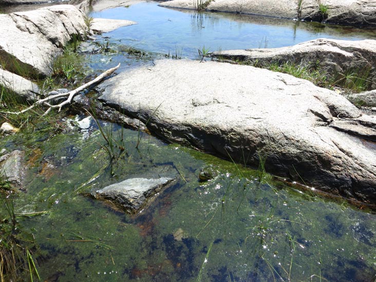 Otter Cove Near Fabbri Picnic Area, Acadia National Park, Mount Desert Island, Maine, July 3, 2013