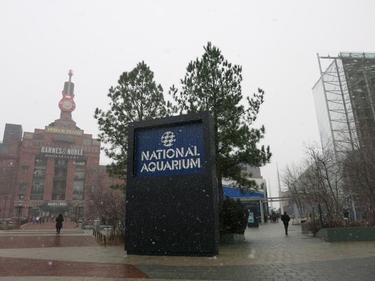 National Aquarium, 501 East Pratt Street, Baltimore, Maryland, January 17, 2016