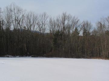 Clearing, Bartholomew's Cobble, Sheffield, Massachusetts