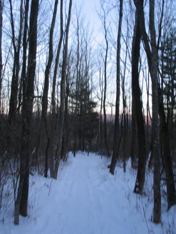 Trail near Pond, Field Farm, Williamstown, Massachusetts