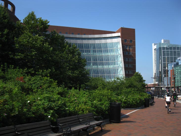 Fan Pier Plaza, Waterfront/Seaport District Bike Tour, South Boston, Boston, Massachusetts