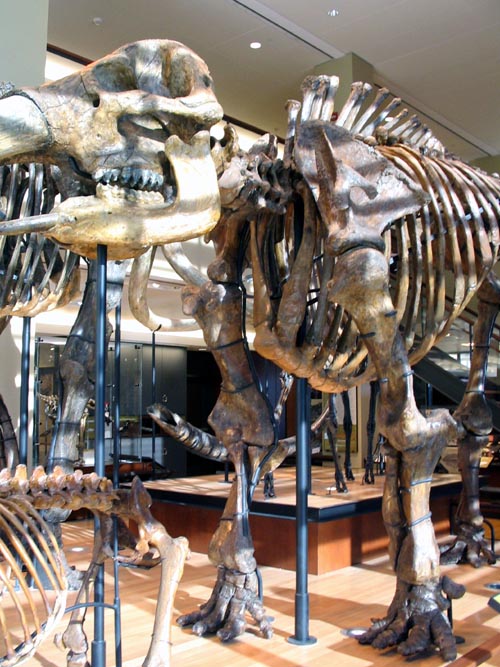 Museum of Natural History, Amherst College, Amherst, Massachusetts