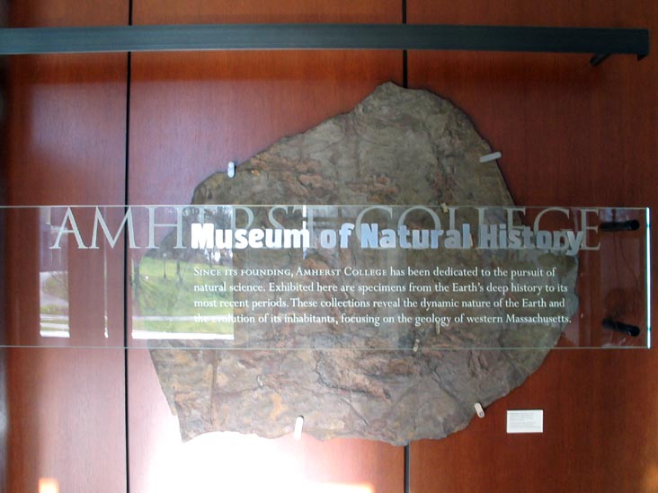 Museum of Natural History, Amherst College, Amherst, Massachusetts