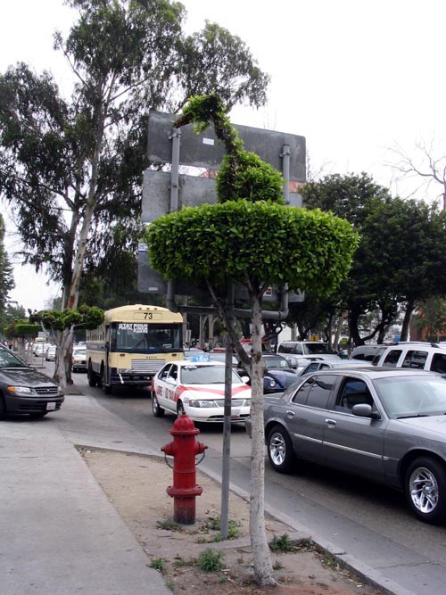 Avenida Paseo de los Héroes near Avenida Independencia, Tijuana, Baja California, Mexico