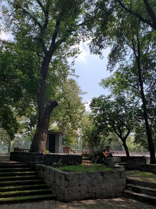 Bosque de Chapultepec, Mexico City/Ciudad de México, Mexico, August 12, 2021