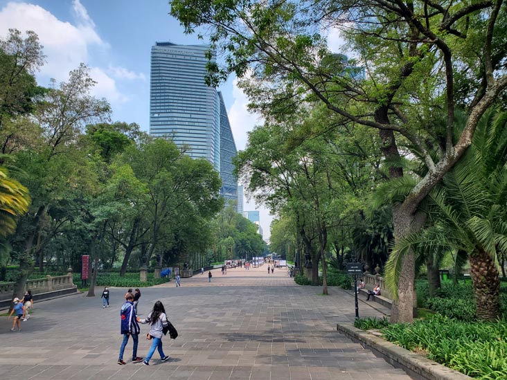 Avenida Juventud Heroica, Bosque de Chapultepec, Mexico City/Ciudad de México, Mexico, August 12, 2021