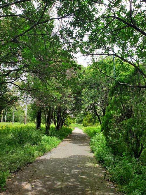Bosque de Chapultepec, Segunda Sección, Mexico City/Ciudad de México, Mexico, August 28, 2021