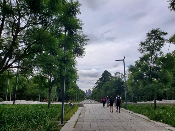 Avenida de los Compositores, Bosque de Chapultepec, Segunda Sección, Mexico City/Ciudad de México, Mexico, August 28, 2021