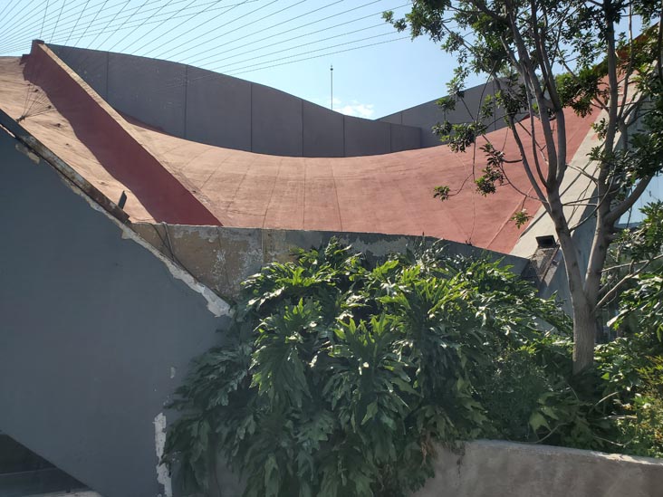 LagoAlgo, Bosque de Chapultepec, Segunda Sección, Mexico City/Ciudad de México, Mexico, August 29, 2023