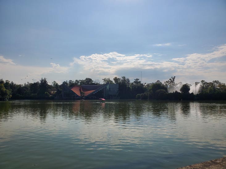 LagoAlgo, Lago Mayor, Bosque de Chapultepec, Segunda Sección, Mexico City/Ciudad de México, Mexico, August 29, 2023