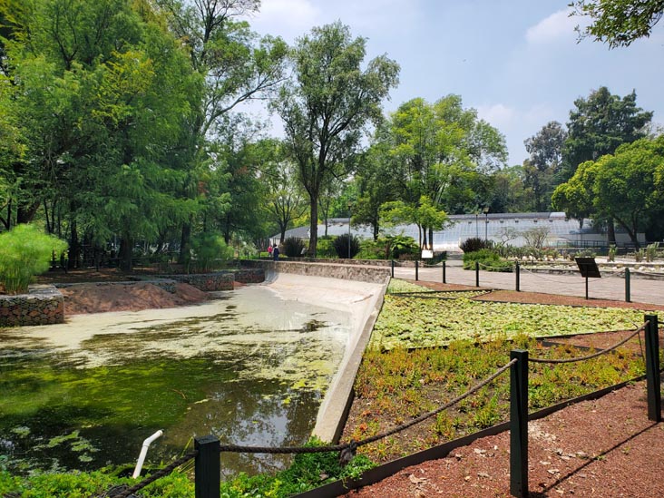 Jardín Botánico, Bosque de Chapultepec, Mexico City/Ciudad de México, Mexico, August 13, 2021