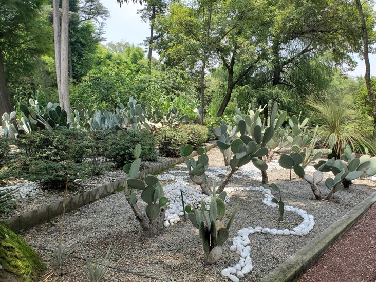 Jardín Botánico, Bosque de Chapultepec, Mexico City/Ciudad de México, Mexico, August 13, 2021
