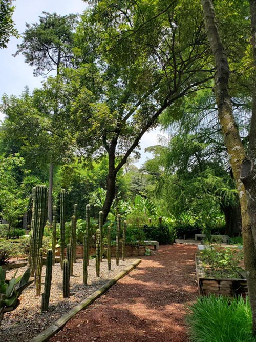 Jardín Botánico, Bosque de Chapultepec, Mexico City/Ciudad de México, Mexico, August 13, 2021