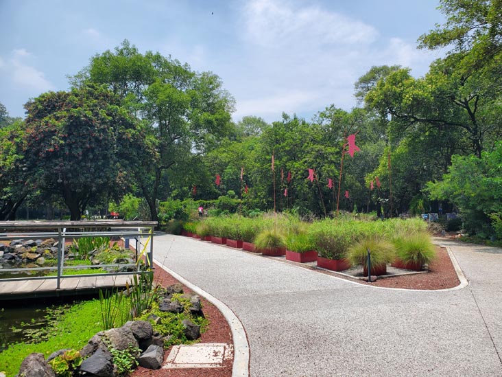 Jardín Botánico, Bosque de Chapultepec, Mexico City/Ciudad de México, Mexico, August 13, 2021