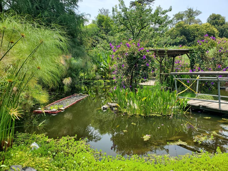 Jardín Botánico, Bosque de Chapultepec, Mexico City/Ciudad de México, Mexico, August 13, 2021