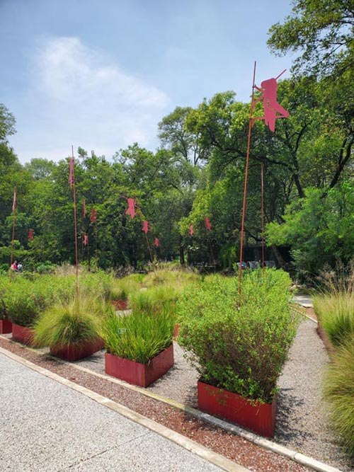 Jardín Botánico, Bosque de Chapultepec, Mexico City/Ciudad de México, Mexico, August 13, 2021