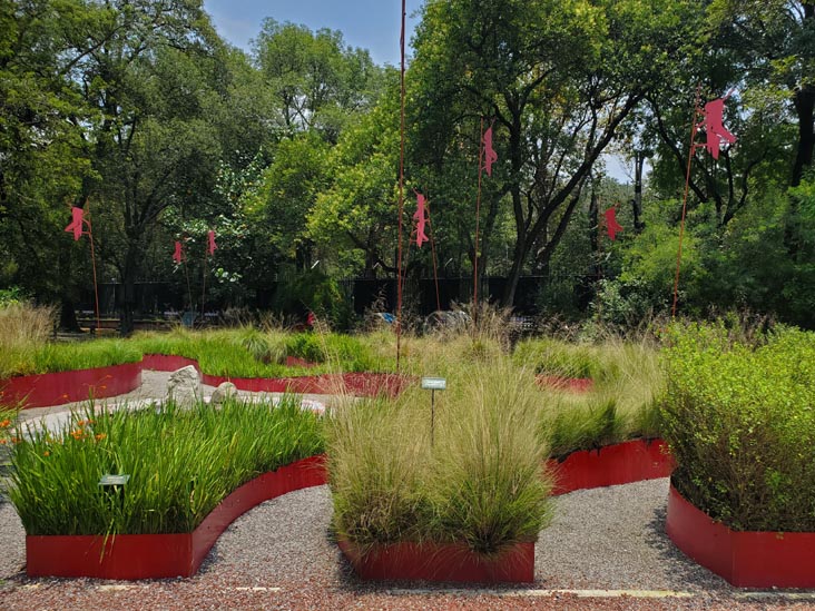 Jardín Botánico, Bosque de Chapultepec, Mexico City/Ciudad de México, Mexico, August 13, 2021