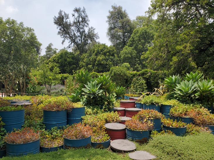 Jardín Botánico, Bosque de Chapultepec, Mexico City/Ciudad de México, Mexico, August 13, 2021