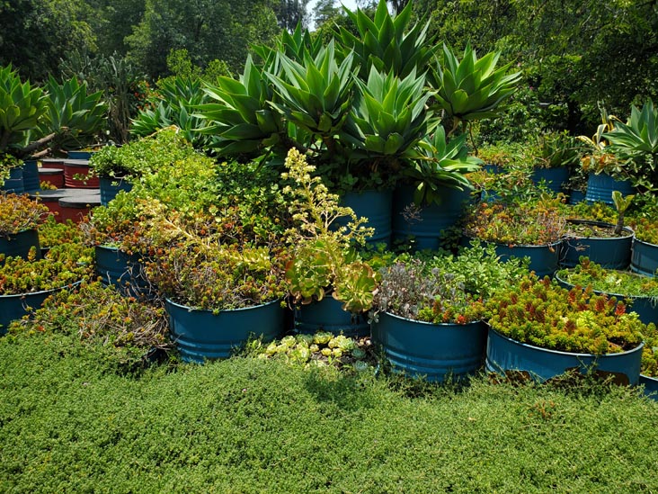 Jardín Botánico, Bosque de Chapultepec, Mexico City/Ciudad de México, Mexico, August 13, 2021
