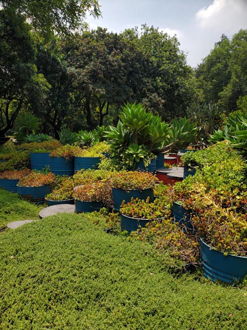Jardín Botánico, Bosque de Chapultepec, Mexico City/Ciudad de México, Mexico, August 13, 2021