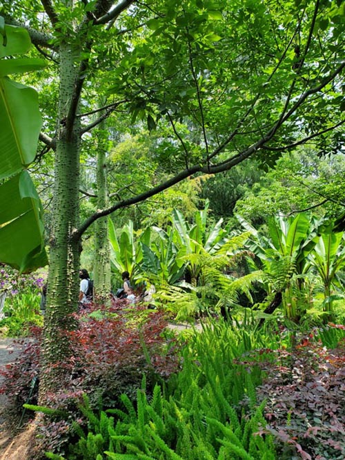 Jardín Botánico, Bosque de Chapultepec, Mexico City/Ciudad de México, Mexico, August 13, 2021